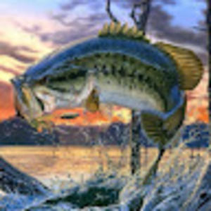 Meet your Posher, Kori